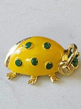Vintage 1973 "Alan J." Watergate Bug‎ Brooch